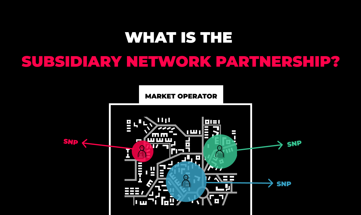 What Is the Subsidiary Network Partnership?